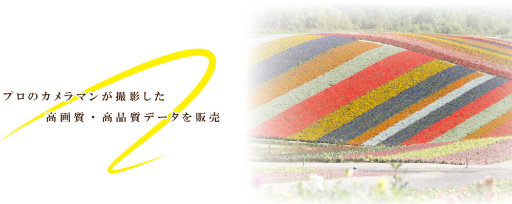 素材販売のTIねっと